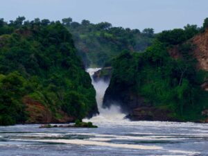 6-days-murchison-falls-chimp-trekking-and-big-game-combo