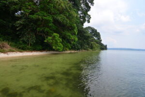 'Lake Victoria is the largest African