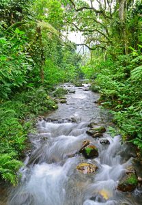 10-Day Yoga and Wild Life Adventure