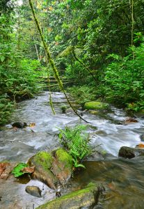 24-Day Best of Uganda Wildness Adventure