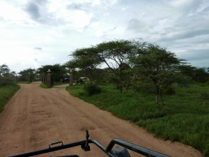 When is the Best Time to Visit Tanzania? When is the Best Time to Visit Tanzania?
