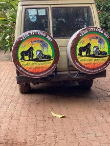  Exploring the Safety of Safari Vehicles