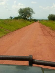 African Safari Cost Guide