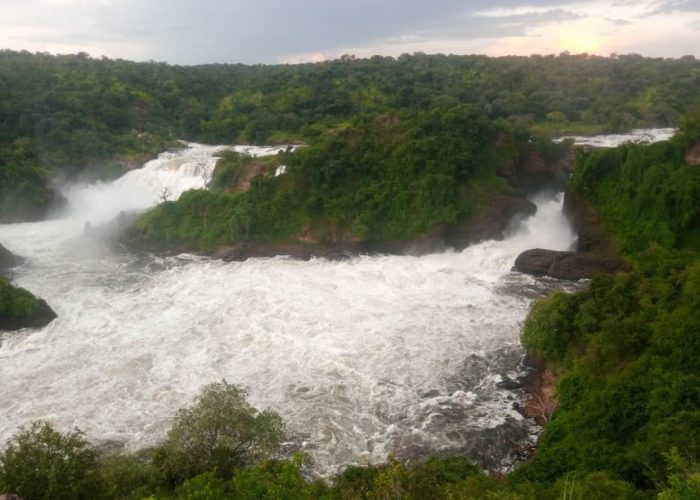 8-Day Murchison Falls Big 5 & Lowland Gorillas in Congo