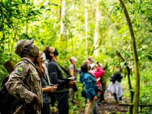 5-days-uganda-chimpanzee-tracking-safari-tour